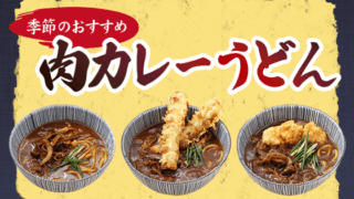 うどん専門店　肉カレーうどん