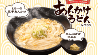 【北海道エリア限定】あんかけうどん